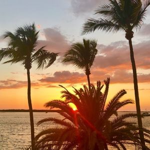 Meet your Posher, Carli